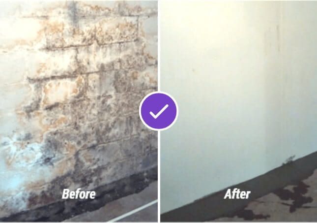 Split-screen basement wall before-and-after, showing mold removal and a cleaner repaired wall.