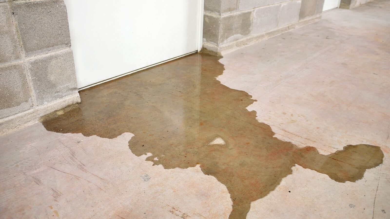 Homeowner inspecting a failing sump pump in a dark basement