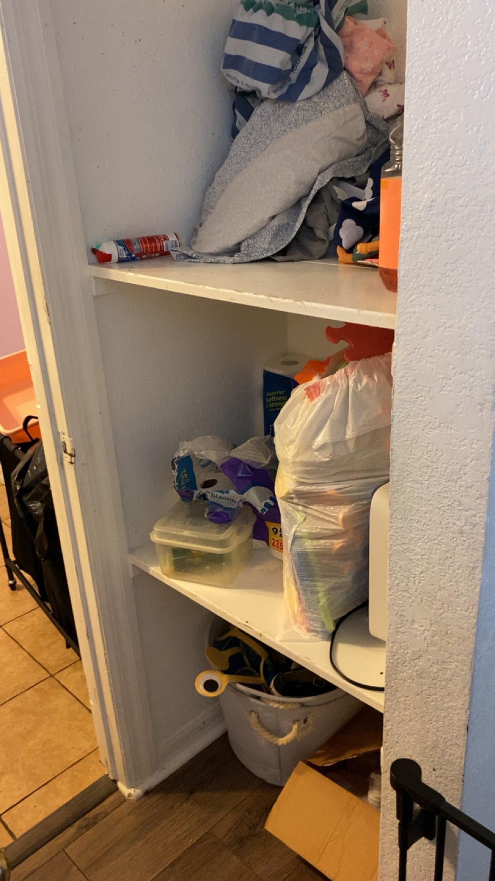 Open closet shelves with assorted household items and storage bags, some bins and towels visible.