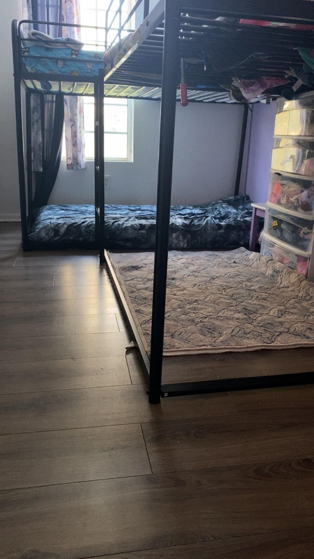 Bunk bed frames in a sunlit bedroom with hardwood floors and a rug-covered sleeping area