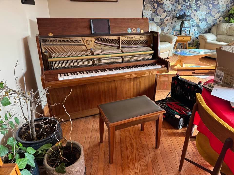A wooden upright piano with its top cover open, standing on a hardwood floor next to a piano bench and potted plants.