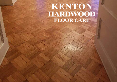 Carpet Cleaning with Vacuum Cleaner — Kenton, OH — Kenton Carpet & Hardwood Floor Care Carpet Cleaning with Vacuum Cleaner — Kenton, OH — Kenton Carpet & Hardwood Floor Care