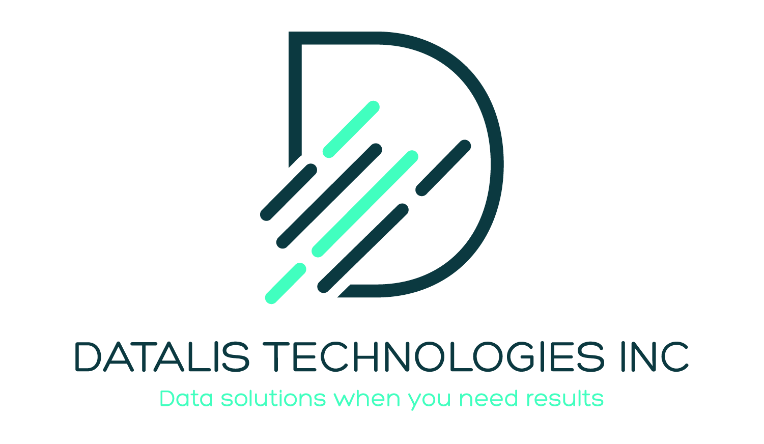 Business Analytics Company | Wesley Chapel, FL | Datalis Technologies