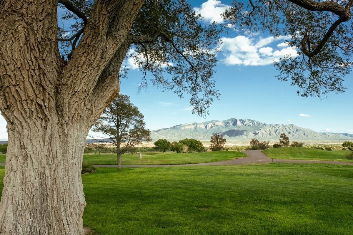 Scenic Sandia Mountains view with a cottonwood tree in Albuquerque for spring renewal and mental wellness.