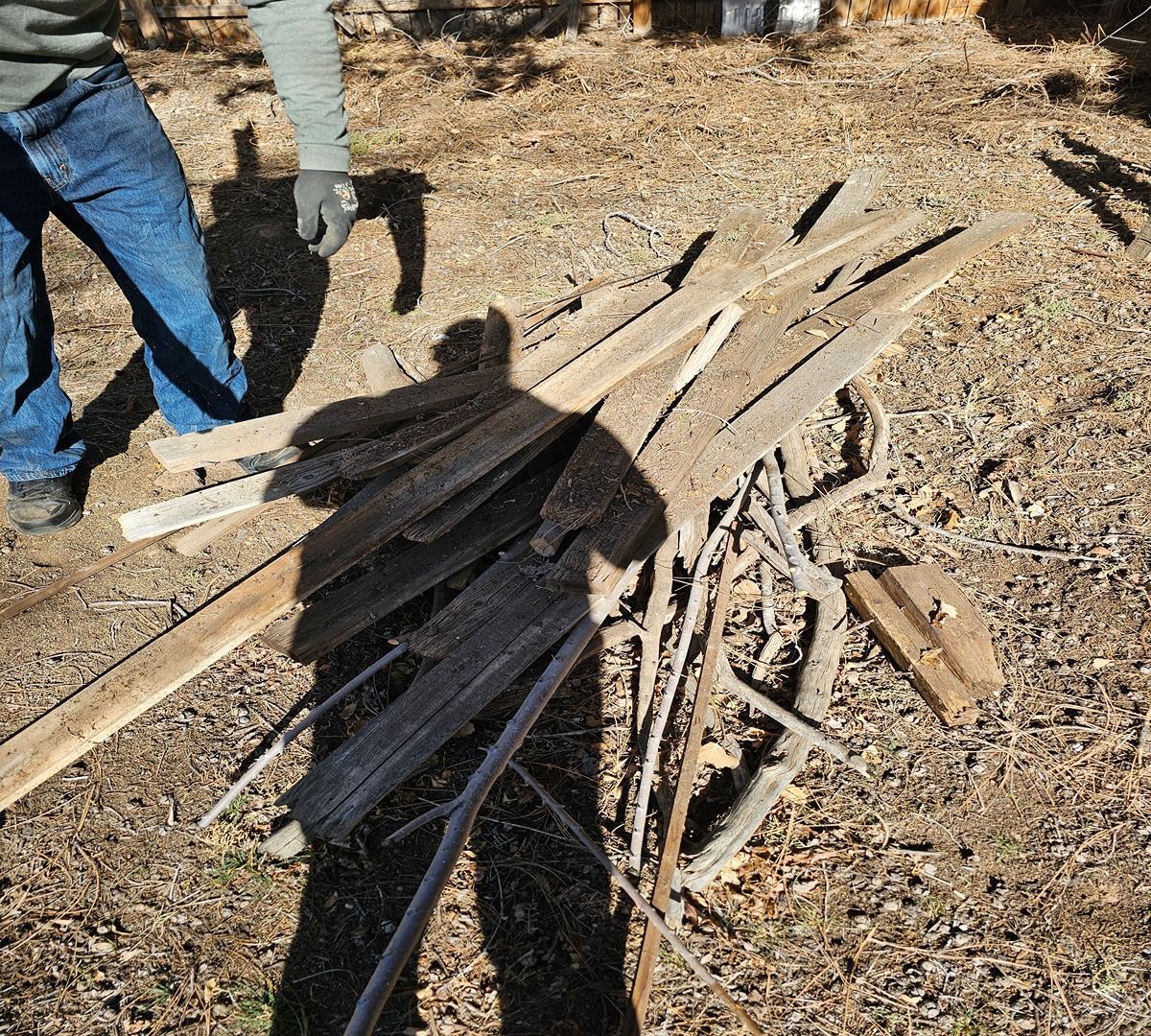 People standing by a pile of wooden boards and branches on dry ground outdoors