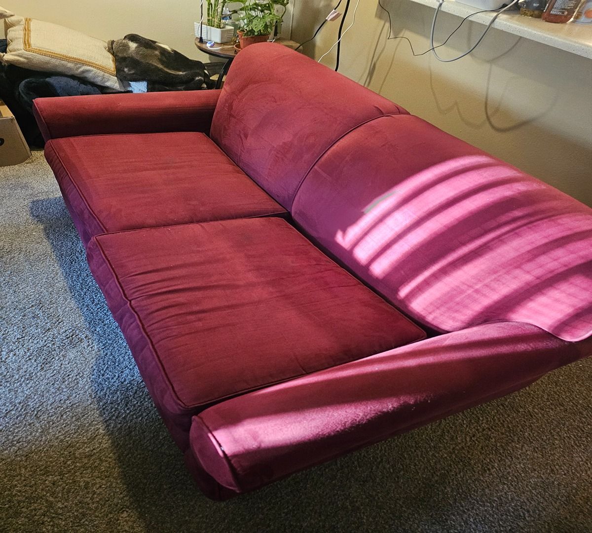 Red upholstered couch in a carpeted room, lit by sunlight from the right.