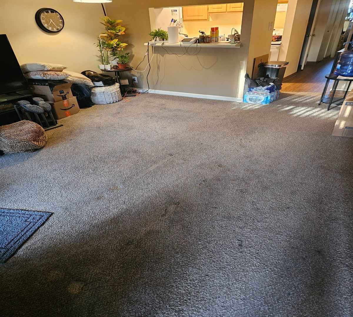 Carpeted living room with a kitchen pass-through, wall clock, and cat resting near the left side.