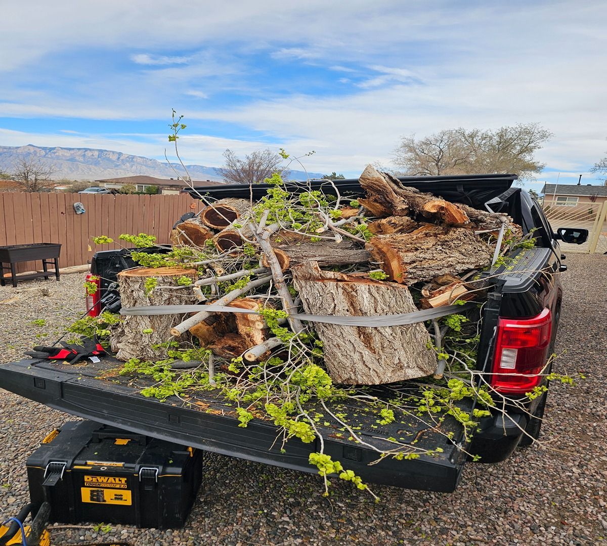 Pickup truck bed loaded with branches and cut logs in a gravel yard under a blue sky