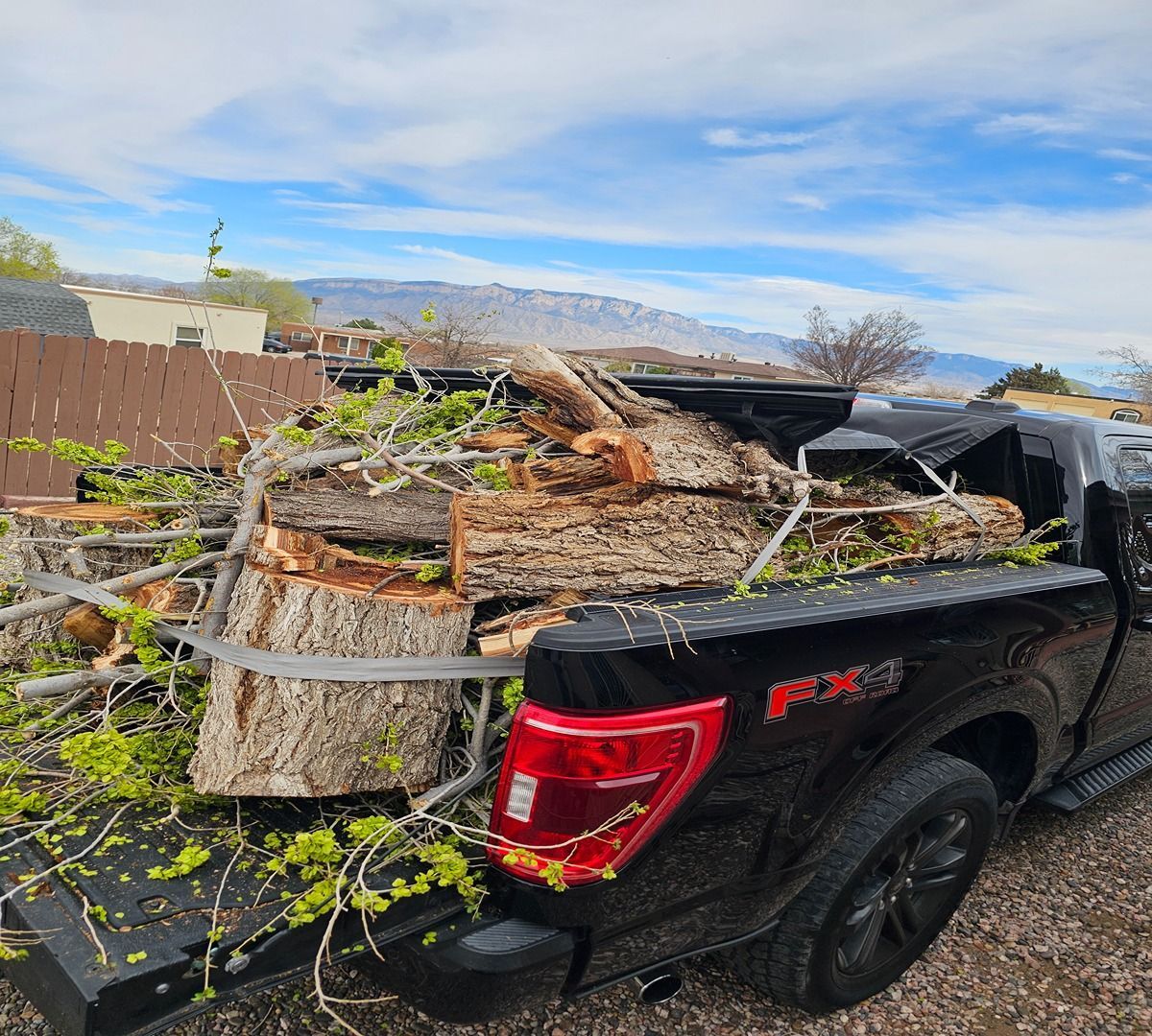 Black pickup truck bed loaded with cut tree logs and branches in a driveway, with mountains in the background