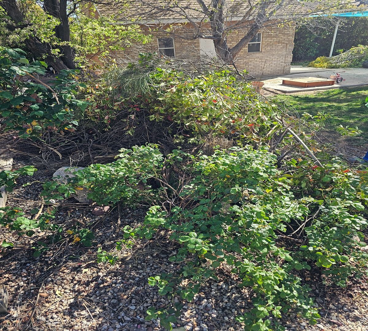 Overgrown shrubs and vines in a garden bed beside a stone building