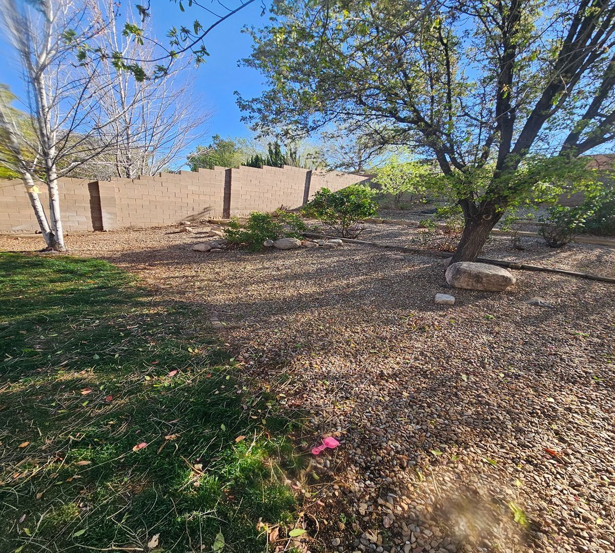 Sparse backyard with dry ground, trees, and a tan wall under a clear blue sky