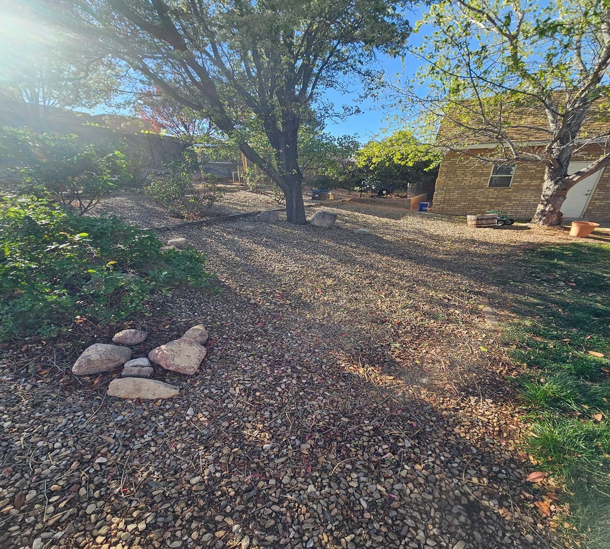 Sunlit backyard with trees, a gravel path, and a stone house partially visible on the right.