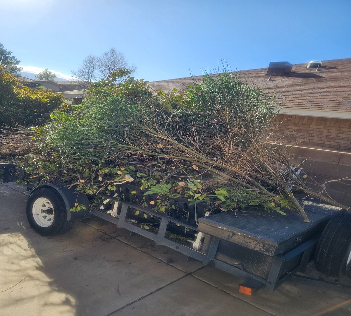 Trailer loaded with cut tree branches in a driveway under a bright blue sky