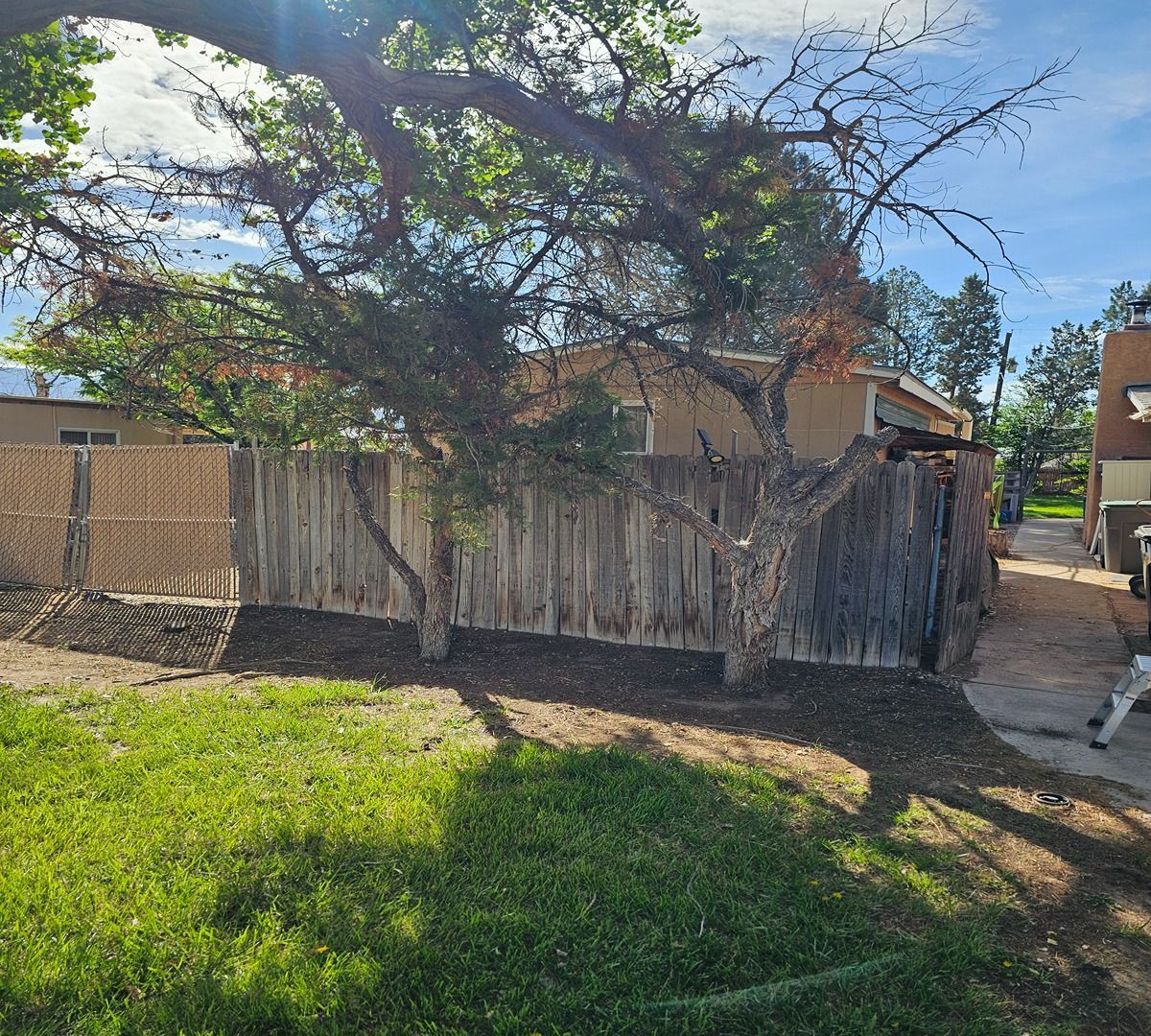 Weathered wooden fence and small house beneath a large tree on a sunny grassy lot.