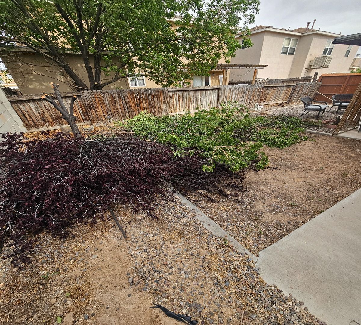 Residential front yard with purple and green shrubs, gravel, concrete path, and a wooden fence