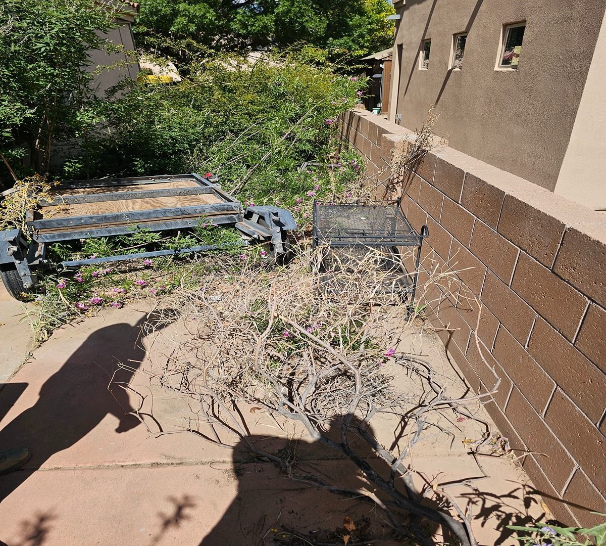 Sunlit backyard patio with a folded chair, dry branches, and a stucco wall beside a garden bed