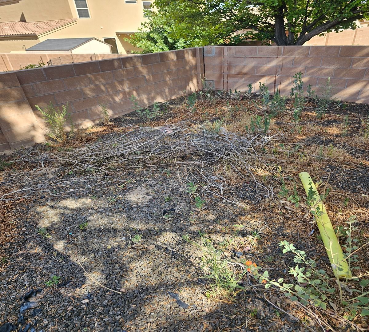 Bare backyard with dirt, dry leaves, a low stucco wall, and a house in the background.