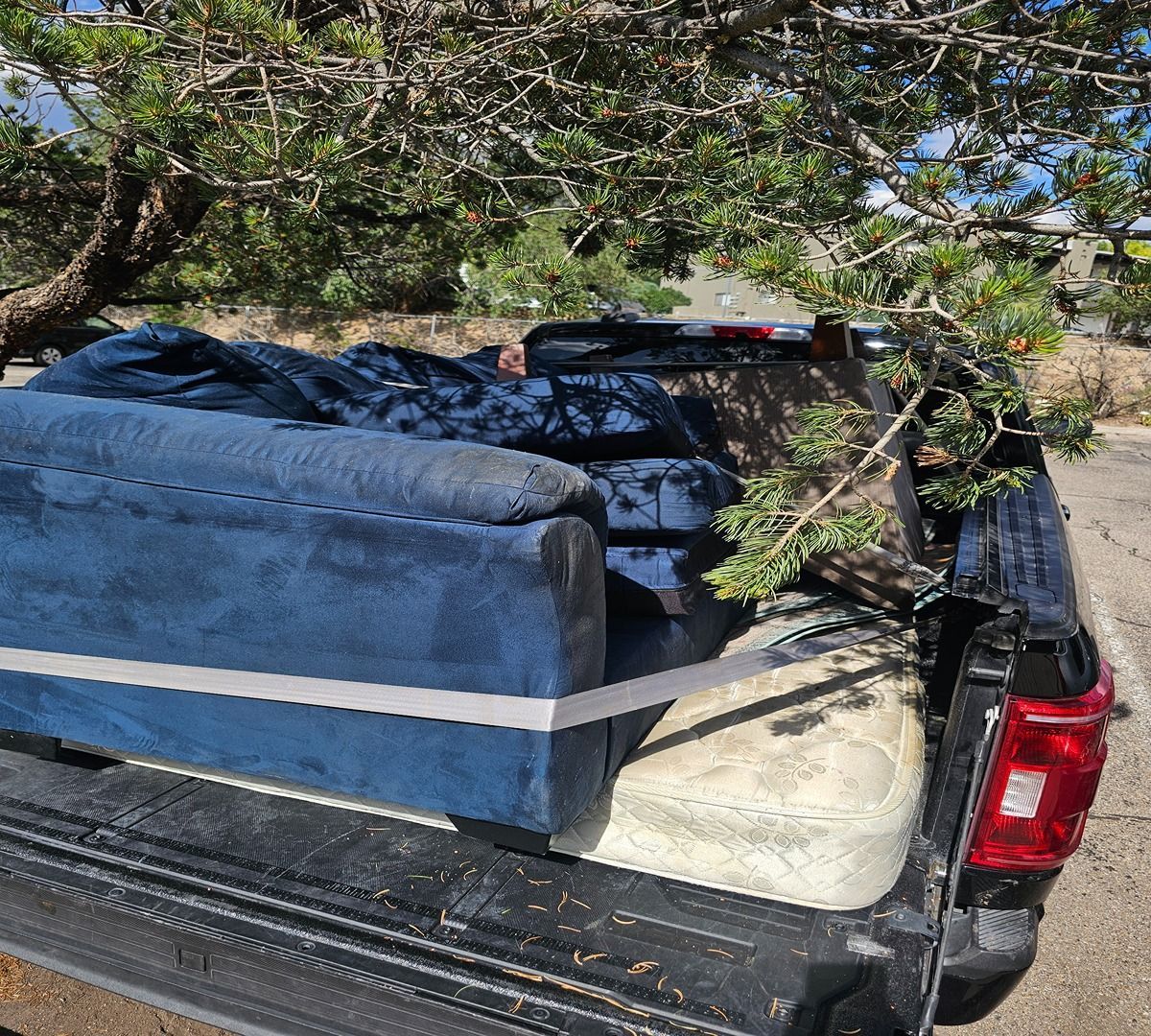 Black pickup truck bed loaded with a blue couch and other furniture outdoors under trees