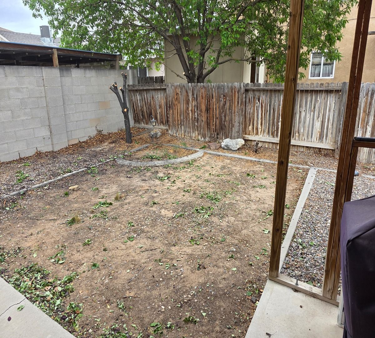 Bare dirt backyard with fence, small tree, and concrete patio edges under a covered patio