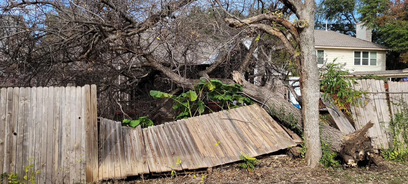 A fallen tree limb has damaged a wooden fence. A house is in the background.