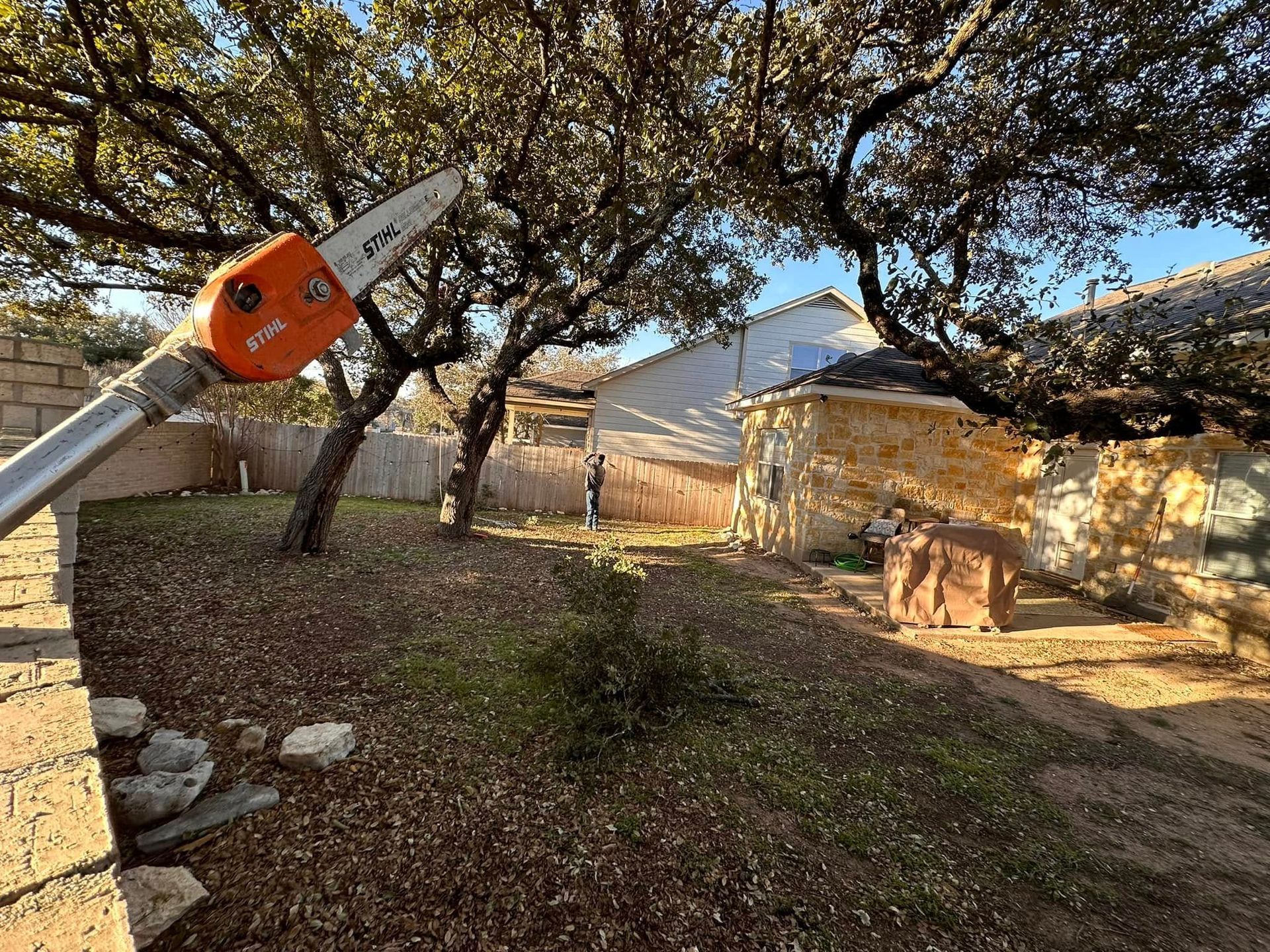 A person using a pole saw to trim a tree in a backyard with a house in the background.