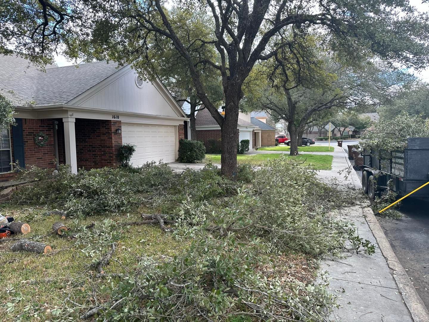 Branches on grass and sidewalk near a house, debris being loaded into a truck.