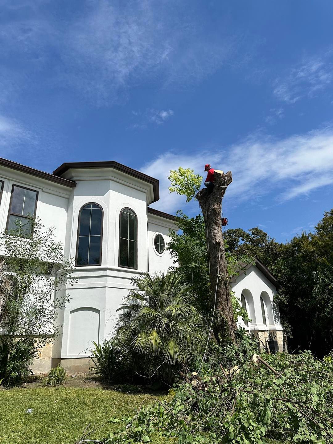 Person cutting a tree near a white building with blue sky.