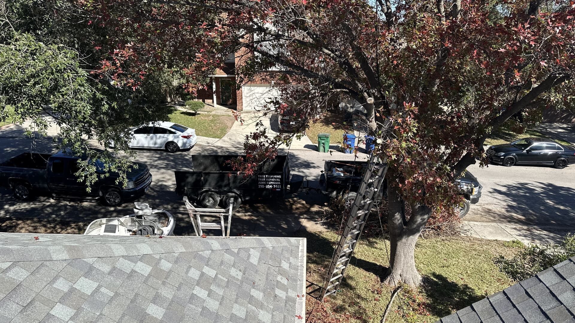 Overhead view of a suburban street with houses, cars, and a tree with fall foliage.