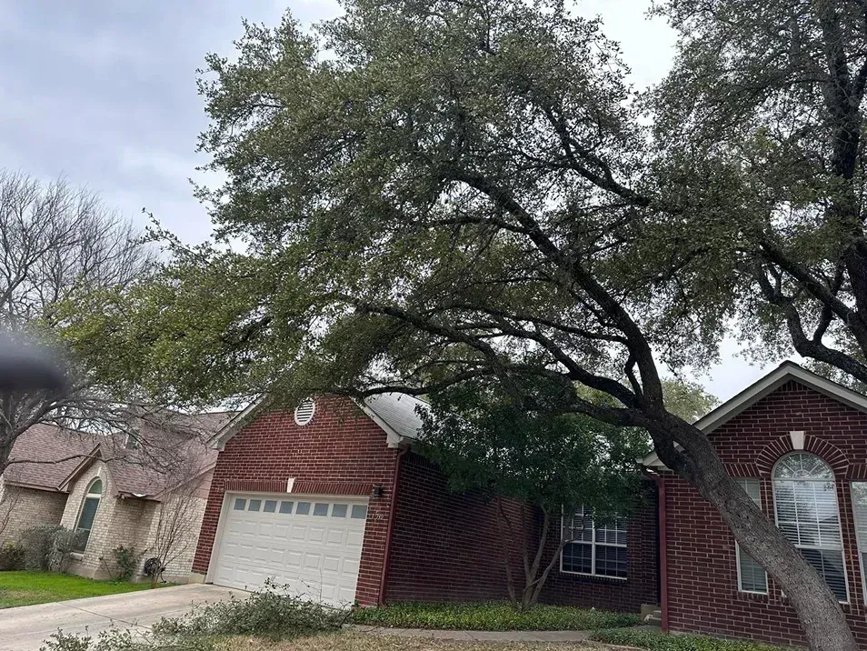 Brick houses with trees in front, under a cloudy sky.