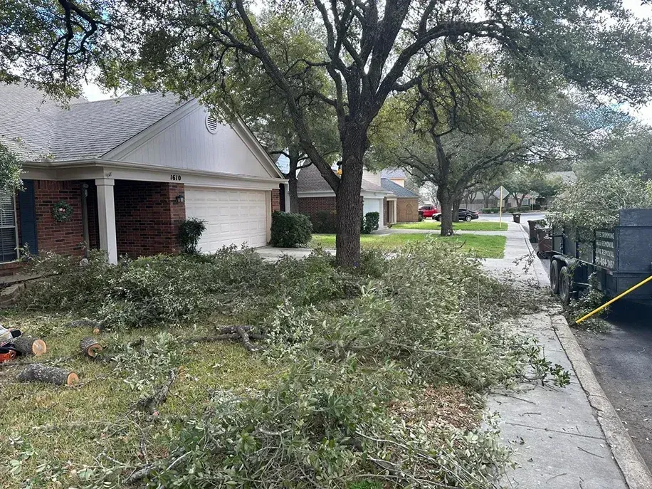 Branches on lawn, truck on street, house in background. Tree trimming in progress.
