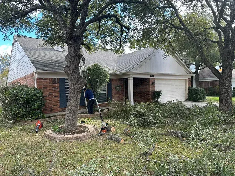 Person trimming a tree in front of a brick house with overgrown branches and debris scattered on the ground.