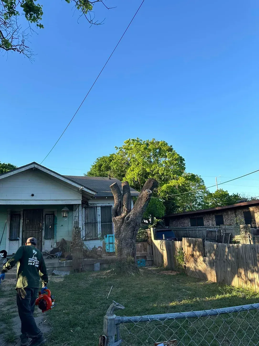 Man with chainsaw near partially trimmed tree in front of a house, bright blue sky above.