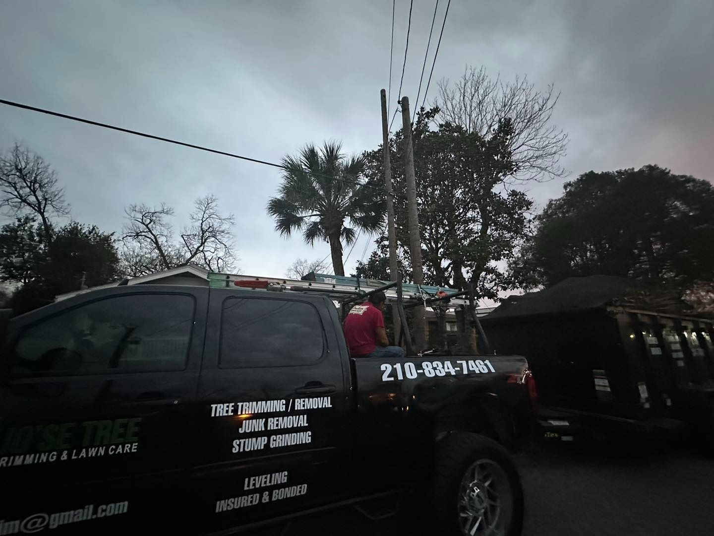 Black truck with tree service logo, person in the bed. Cloudy day, power lines overhead.