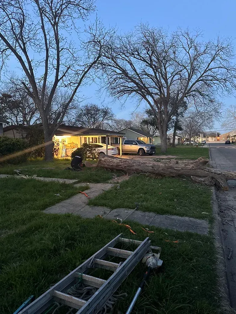 A ladder rests on the grass in front of a house, debris from tree limbs scattered on the lawn and driveway.
