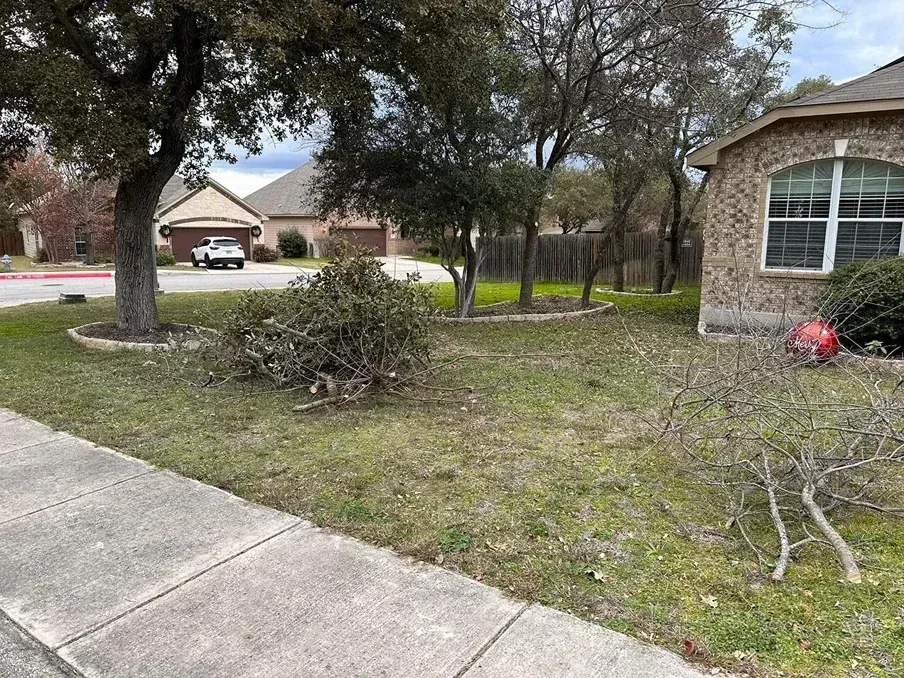 A front yard with trimmed branches and a house with a brick facade on a cloudy day.