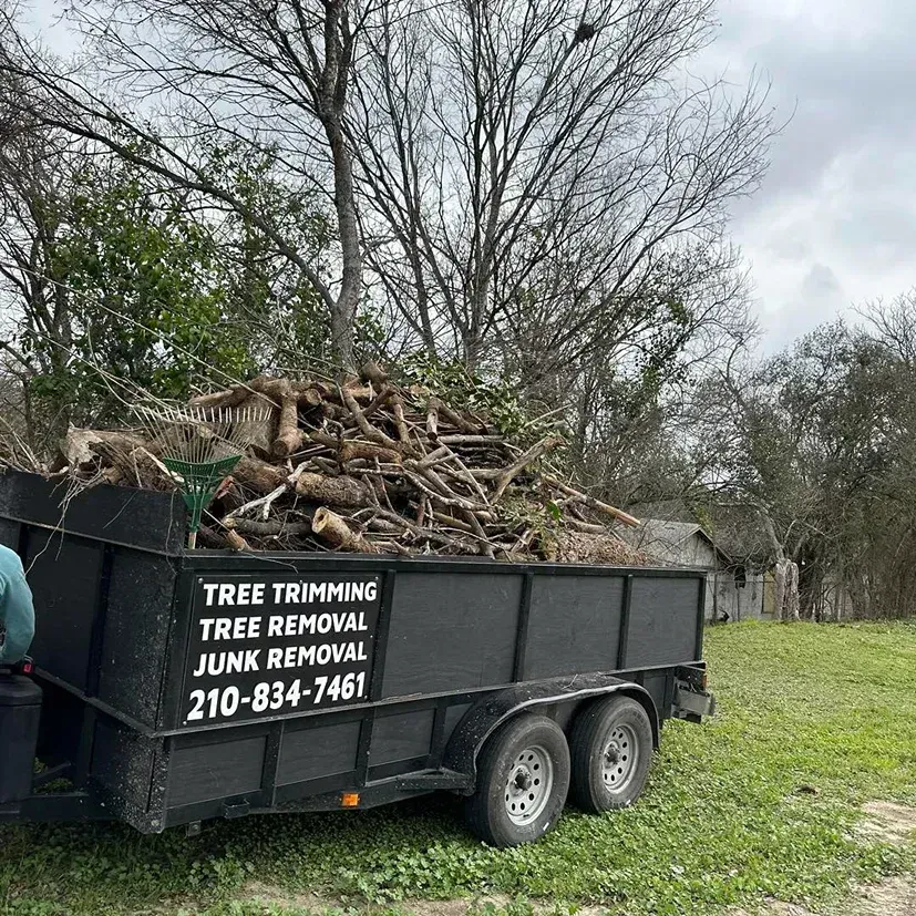 Black trailer filled with tree branches, parked on grass. Text on trailer reads 