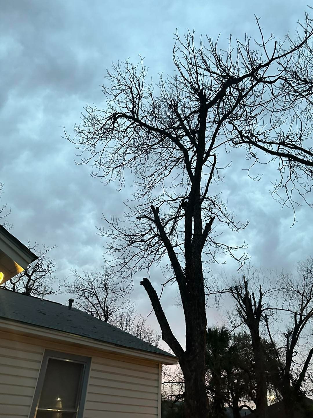 Bare tree silhouetted against a cloudy, twilight sky. A portion of a house is visible on the left.