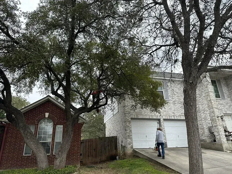 Person walking toward a two-story house with a white garage door. Brick home on the left, trees in view.