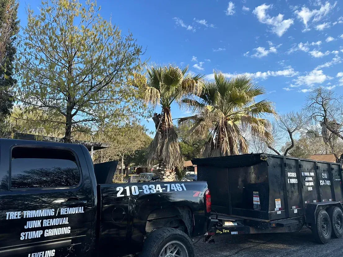 Black truck with a dumpster trailer parked on a sunny day near trees. Phone number on truck.