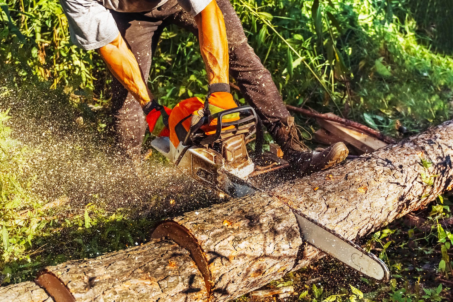 A man is cutting a log with a chainsaw in the woods.