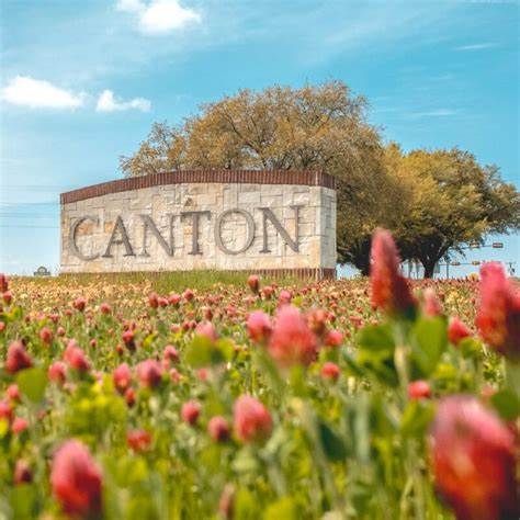 Canton sign in field of red flowers with blue sky and trees in the background.