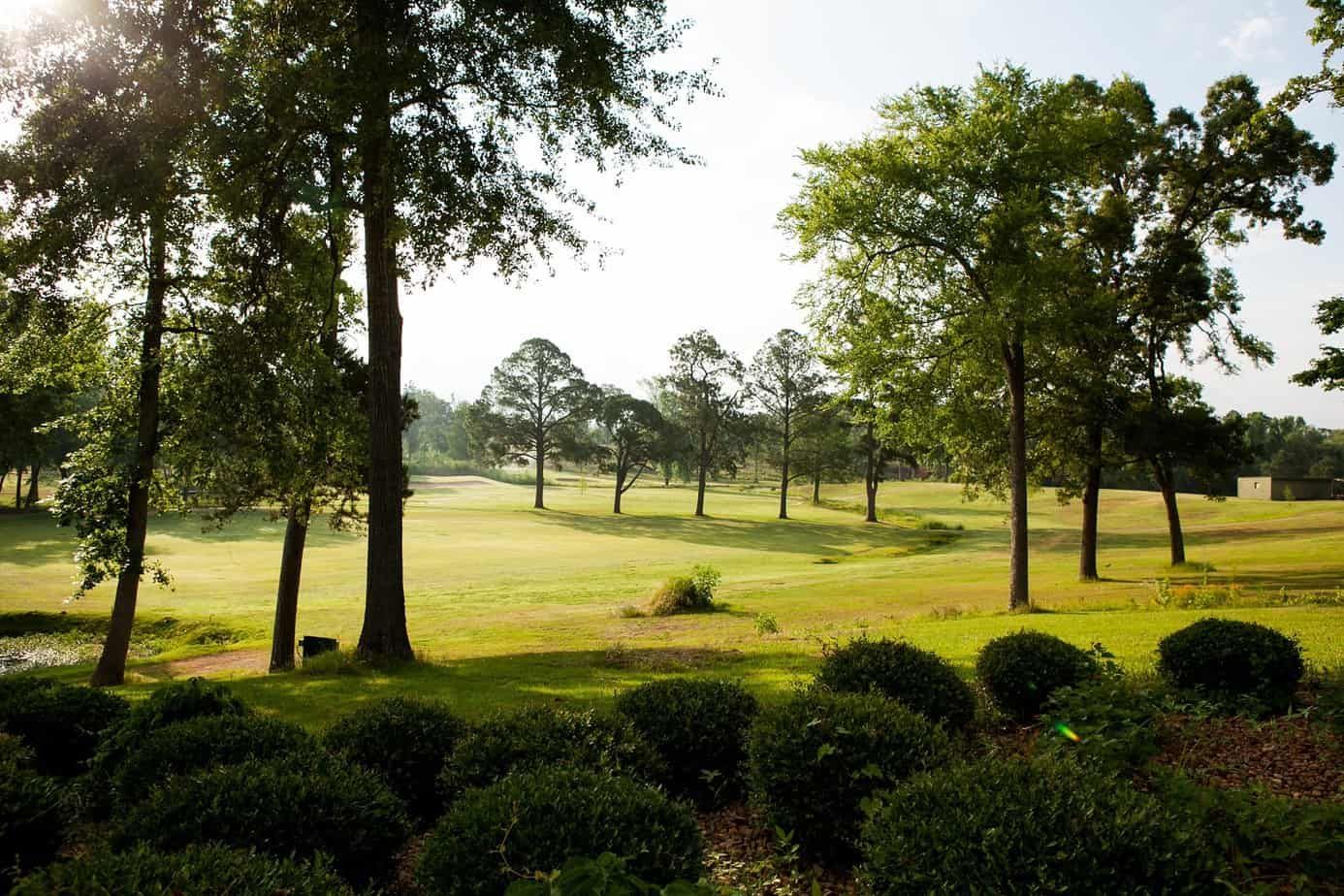 Lush green golf course with trees scattered across the landscape; sunlight streams through the trees.