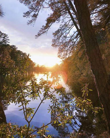 Sunset over a calm lake, framed by trees and foliage. Golden light reflects on the water.