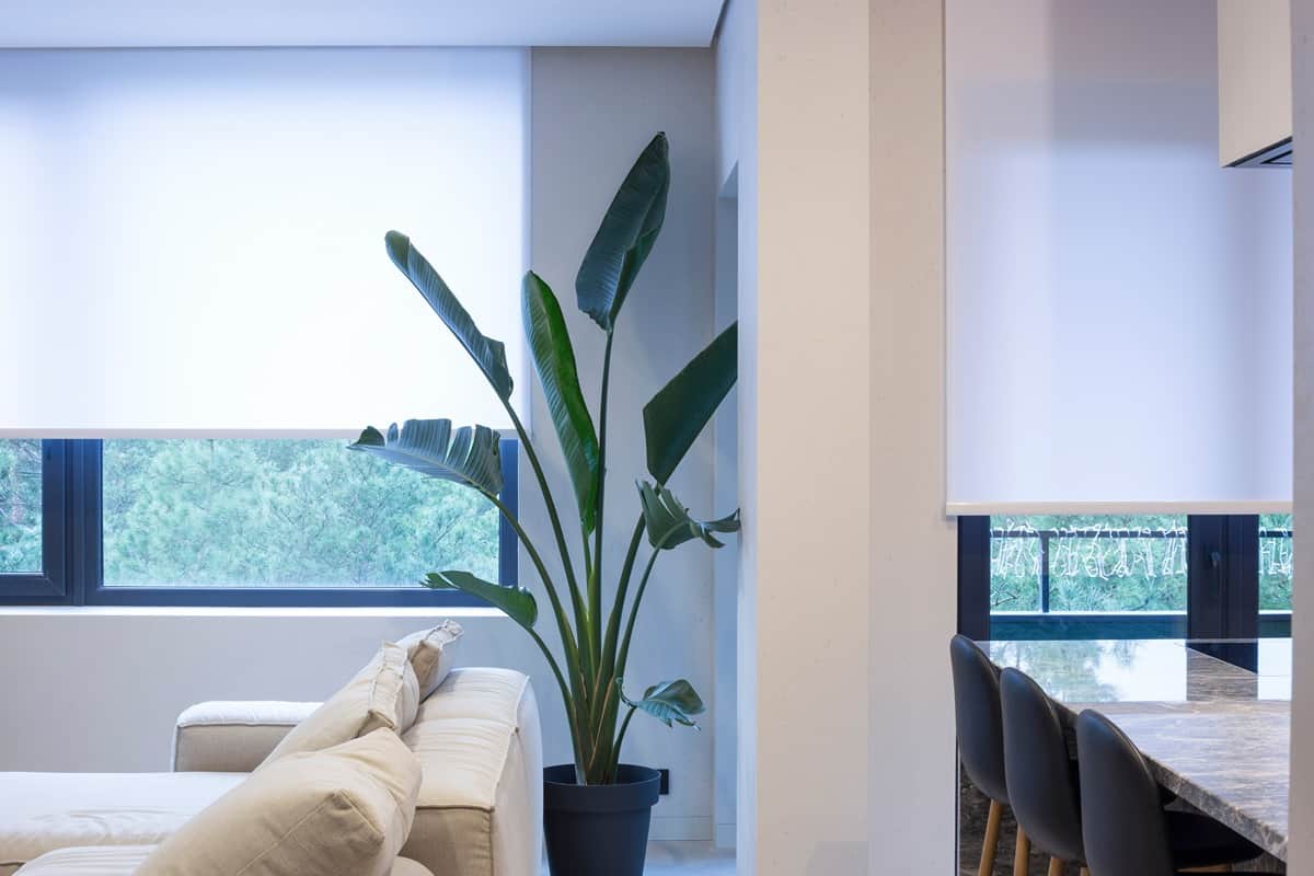 a living room with a couch and a potted plant in front of a window with custom window shadings Simply Windows.