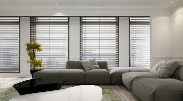 Modern living room with grey sectional sofa, large windows, and a black coffee table.