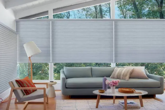 Living room with light blue cellular shades over windows, gray sofa, and modern furniture.
