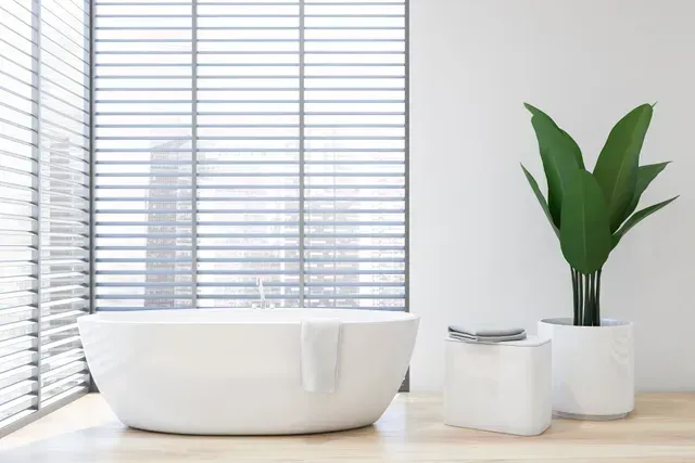 White bathtub by a window with blinds, a large potted plant, and a white tissue box on a wooden surface.