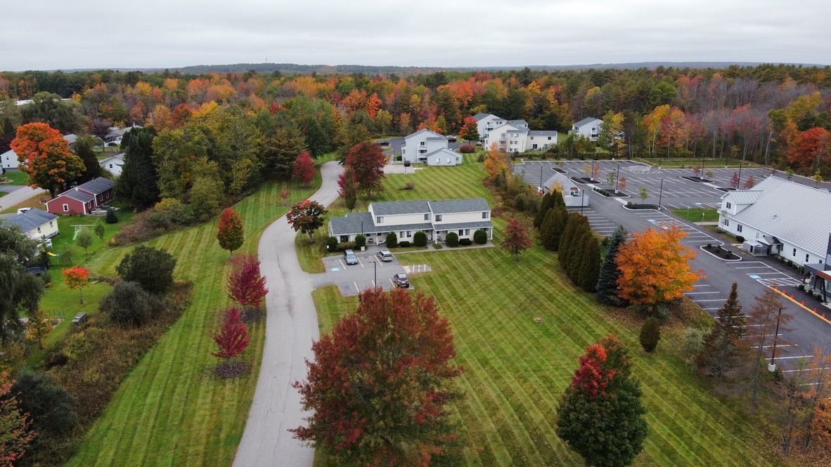 an aerial view of a residential area with a lot of trees and houses .