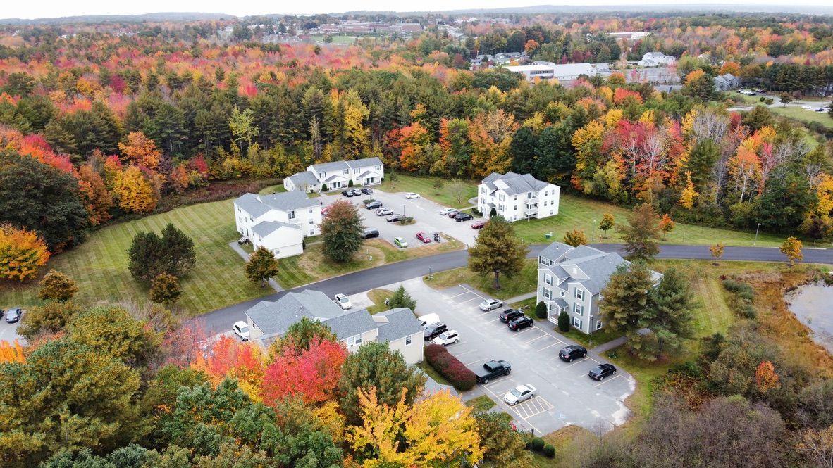 an aerial view of a residential area surrounded by trees in the fall .