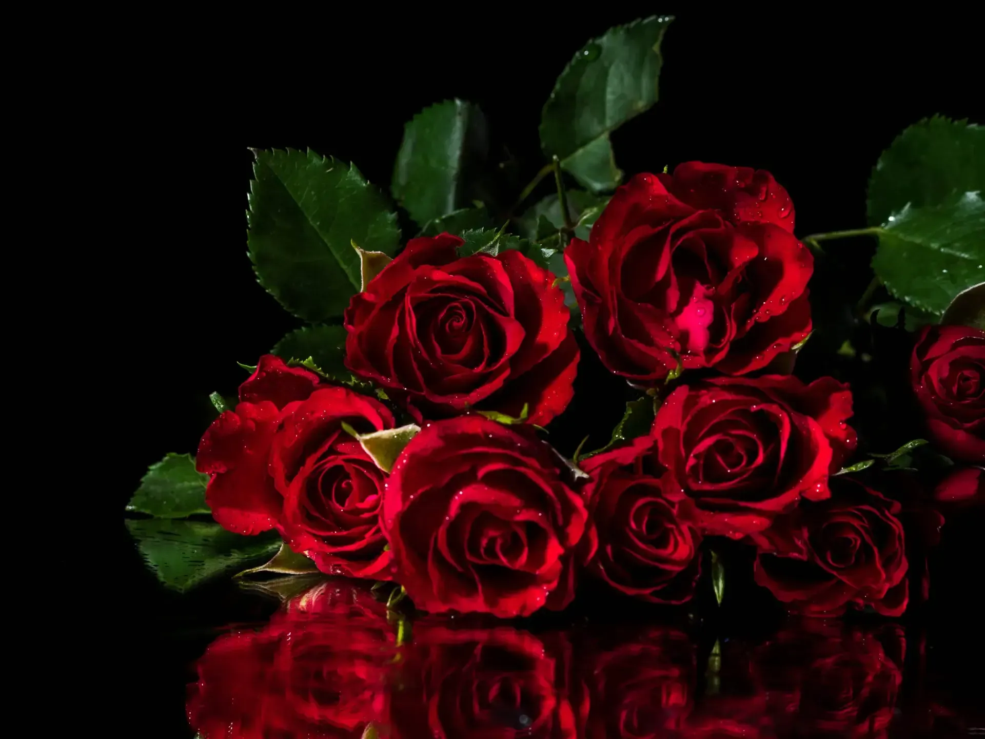 Red roses with green leaves on a black background